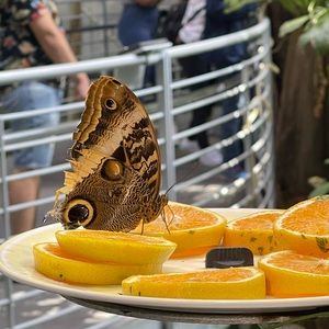 Meet your Posher, Christian